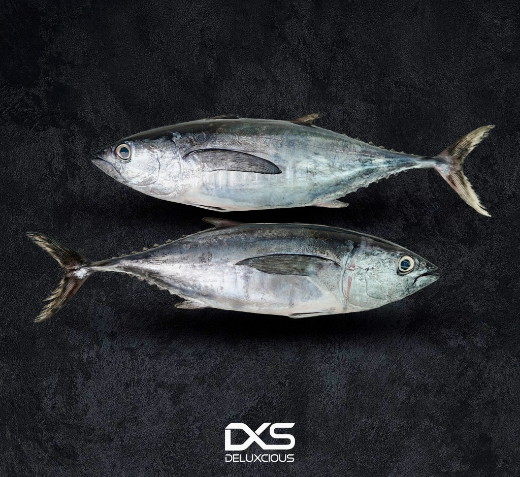 Fresh Yellow Fin Tuna (3kg-5kg)