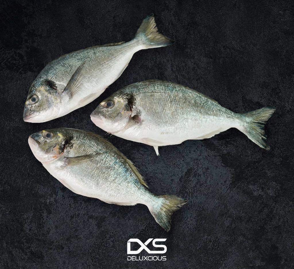 Fresh Seabream (400g-600g)