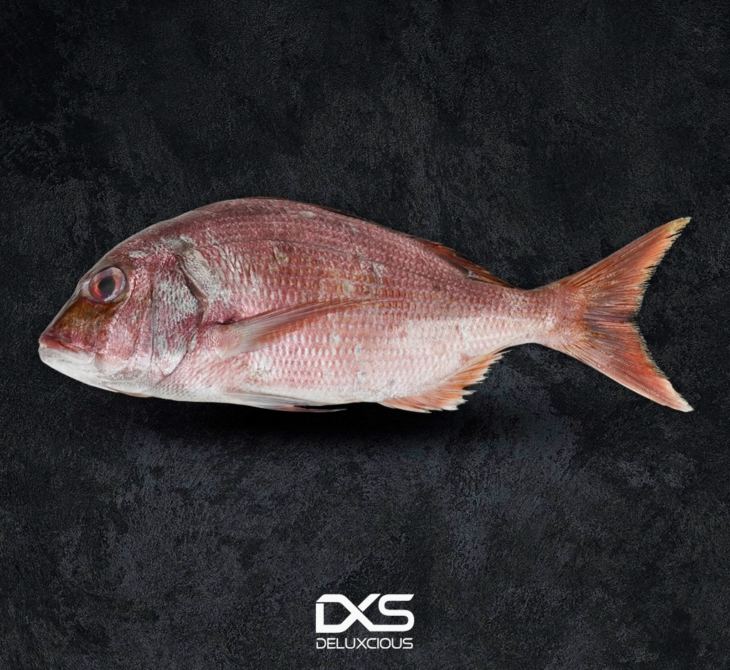 Fresh Red Seabream (400g-600g)