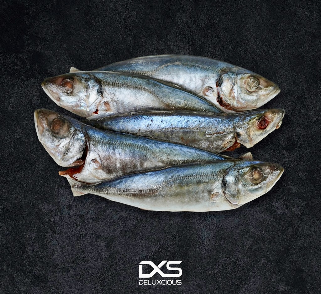 Frozen Indian Mackarel Fish Small Pieces