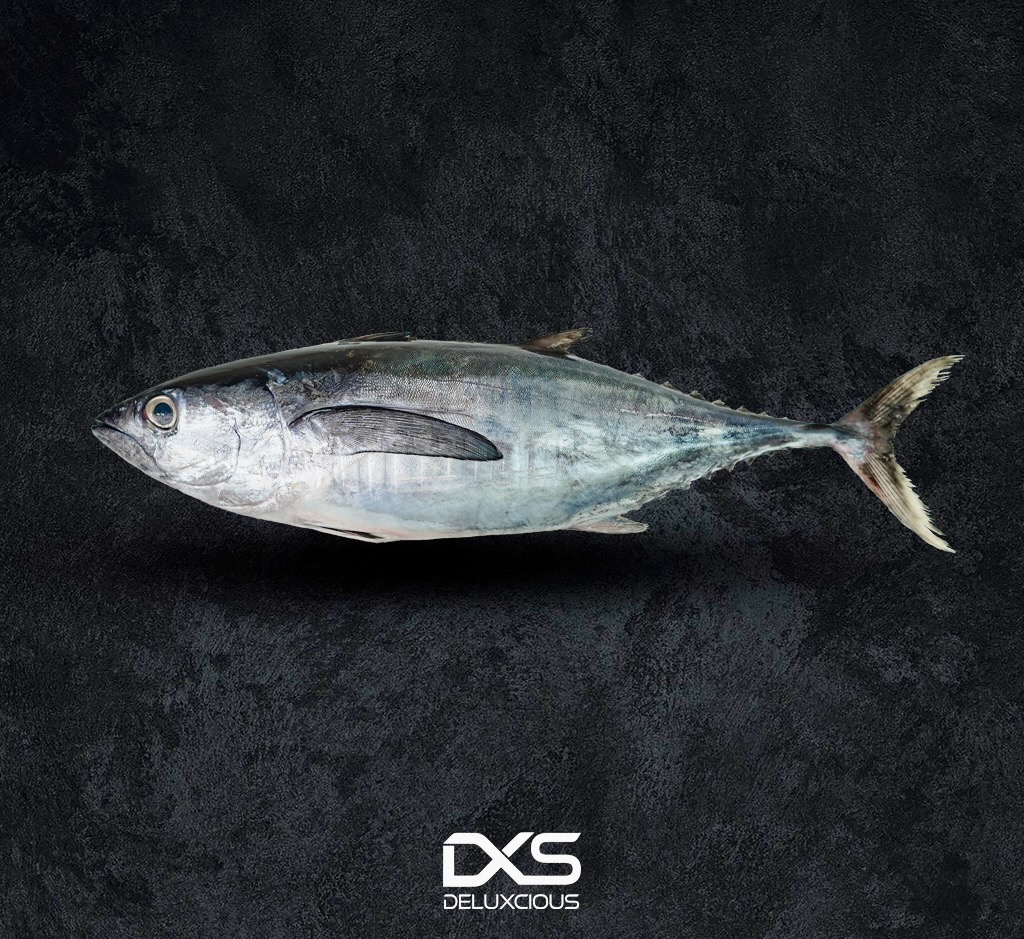 Fresh Yellow Fin Tuna (4kg-5kg)
