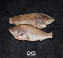 Frozen Grouper Pieces