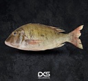 Fresh Emperor Small (250g-300g)