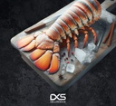 Frozen Lobster Tail (140g-160g)