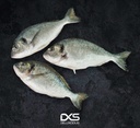 Fresh Seabream (400g-600g)