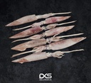 Fresh Squid (60g-80g)