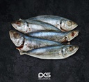 Frozen Indian Mackarel Fish Small Pieces