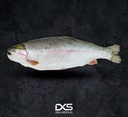 Fresh Whole Salmon Orange Norway (2kg-Up)